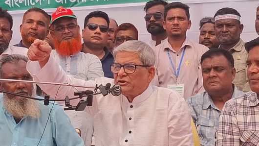 আমাদের ঘাড়ের ওপর গণভোট ও সনদ চাপিয়ে দেওয়া হচ্ছে: মির্জা ফখরুল