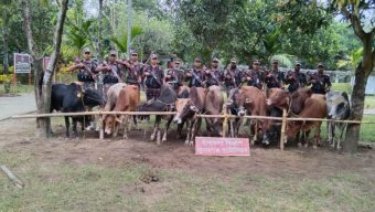 দোয়ারাবাজার সীমান্তে ১৪ ভা র তী য় গরু আ ট ক
