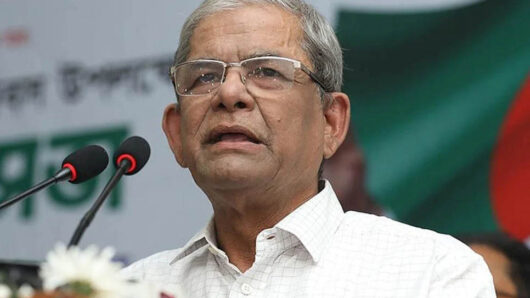 মব স ন্ত্রা স পুরো জাতিকে বি ভ ক্ত করেছে, দায় সরকারের : মির্জা ফখরুল