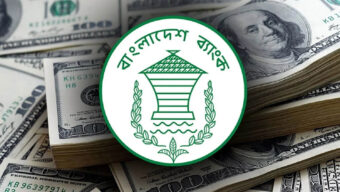 ১৩ ব্যাংক থেকে ২০ কোটি ২০ লাখ ডলার কিনল বাংলাদেশ ব্যাংক
