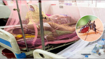 সিলেটে ডেঙ্গু রোগী ৫শ ছাড়ালো