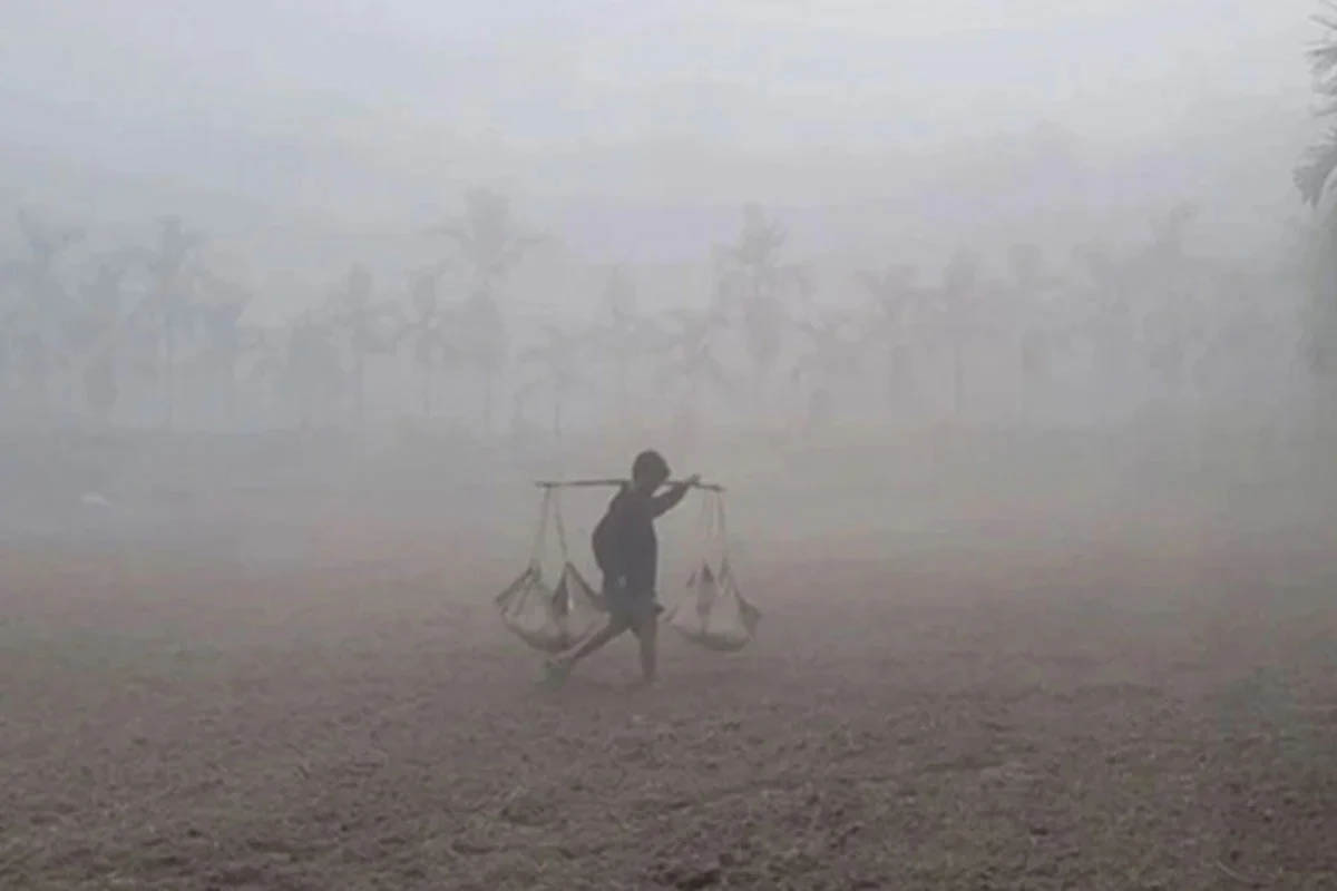 আবারও কি ফিরছে শীত