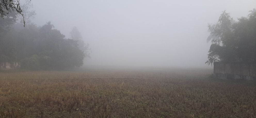 ৮ ডিগ্রী সেলসিয়াসে নামলো শ্রীমঙ্গলের তাপমাত্রা
