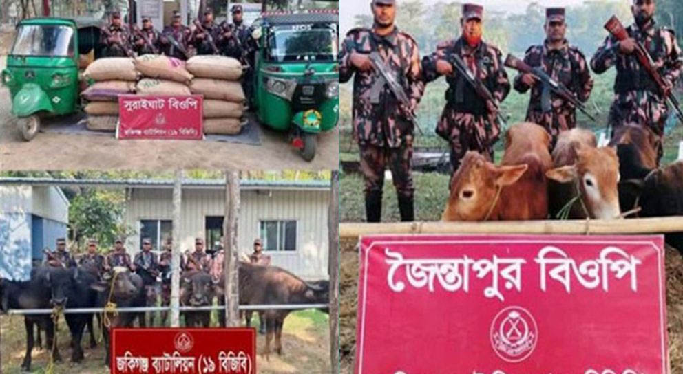 সিলেটের দুই উপজেলার বিজিবির অ ভি যা ন, অতঃপর..