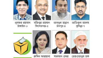 ত্রয়োদশ জাতীয় সংসদ নির্বাচন, বিএনপির সাত বি দ্রো হী জয়ী