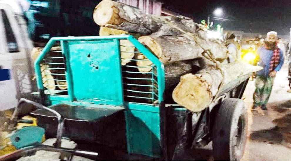 কমলগঞ্জে কেটে নেওয়া সরকারি গাছ উদ্ধার করলো বন বিভাগ