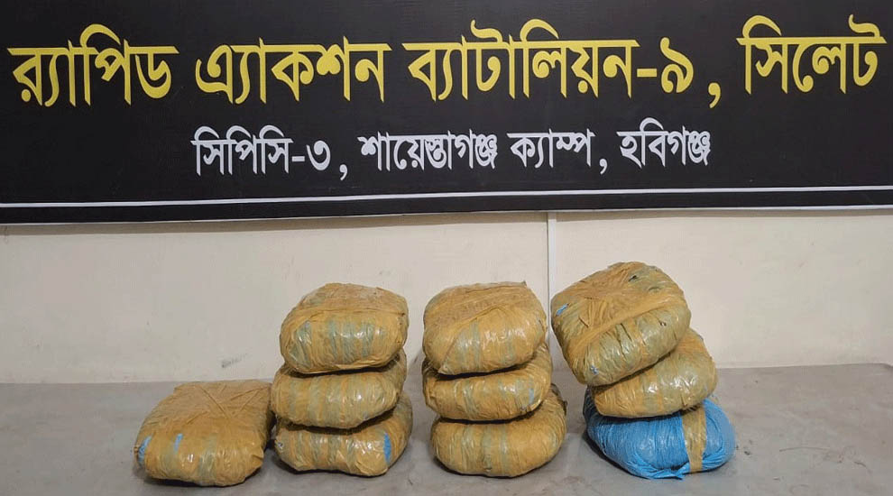 হবিগঞ্জে বাঁশ ঝাড়ের ভিতরে যা পেল র‌্যাব