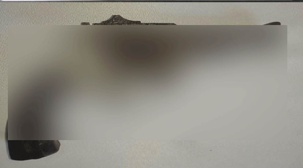 সিলেটে র‍্যাবের অভিযানে অ*স্ত্র উদ্ধার