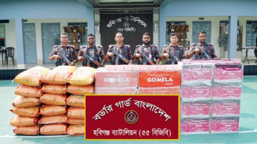 বিজিবির অ ভি যা নে ৬৬ লাখ টাকার ভারতীয় পণ্য উ দ্ধা র