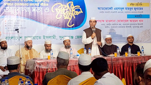 গণভোটই পারে এ সরকারকে আইনী ভিত্তি দিতে: এহসানুল মাহবুব জুবায়ের