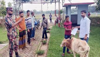 সীমান্তে সক্রিয় গরু চো রা কা র বা রি রা