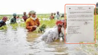 শান্তিগঞ্জে জলাবদ্ধতায় বোরো ধান কাটায় সংকট, স্বেচ্ছাসেবী সহায়তার আহ্বান