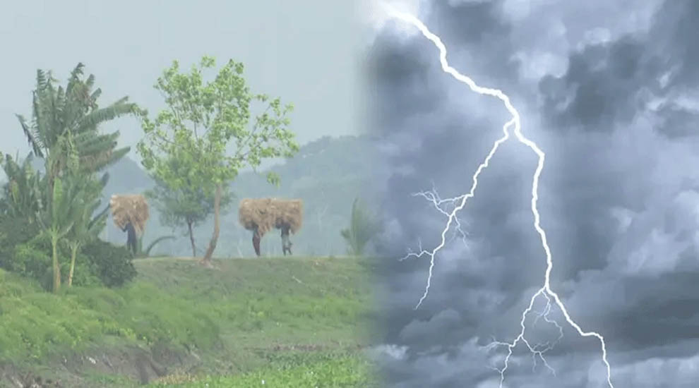 সুনামগঞ্জে বজ্রপাতে ৪ উপজেলার ৫ জনের মৃ*ত্যু