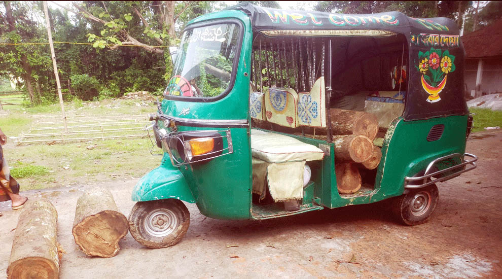 হবিগঞ্জে বনবিভাগের অভিযানে পা*চা*র করা আকাশমনি কাঠ জ ব্দ