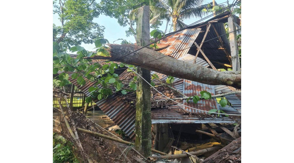 ওসমানীনগরে ৩২ ঘণ্টা বিদ্যুৎহীন