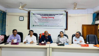 সিকৃবিতে চার দিন ব্যাপী প্রশিক্ষণ শুরু