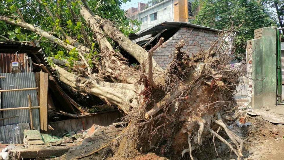 সিলেটে কালবৈশাখী ঝড় নিয়ে স র্ত ক তা