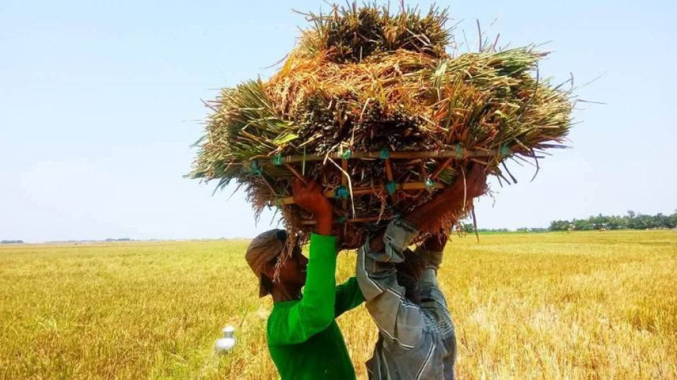 সুনামগঞ্জের তিন শুল্ক স্টেশন যে কারণে বন্ধ ঘোষণা