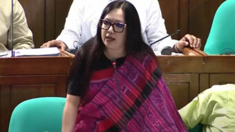 আমাকে মনোনয়ন না দেওয়ায় বিএনপিকে ধন্যবাদ : রুমিন ফারহানা