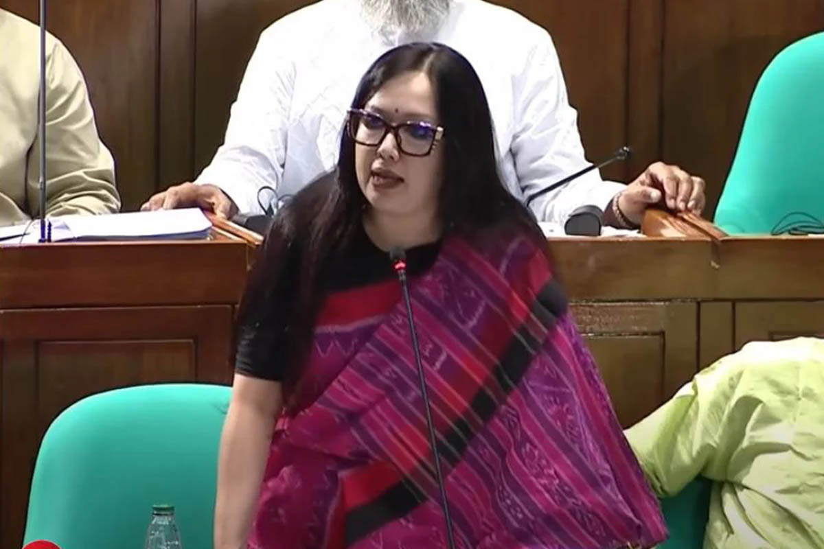 আমাকে মনোনয়ন না দেওয়ায় বিএনপিকে ধন্যবাদ : রুমিন ফারহানা