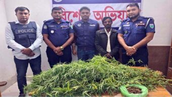 বাড়ির আঙিনায় গাঁজা চাষ করতেন মহিদ, অতঃপর..