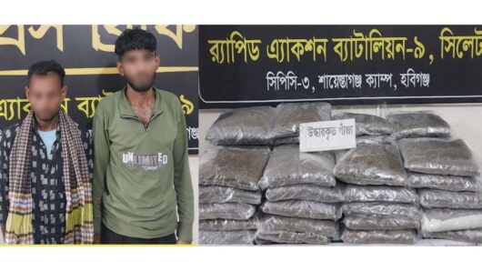 হবিগঞ্জে র‌্যাবের অভিযানে সাড়ে ৪৫ কেজি গাঁ জাসহ আ ট ক ২