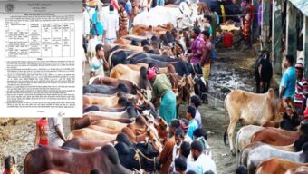 সিলেটে অস্থায়ী পশুর হাট ইজারার দরপত্র আহ্বান