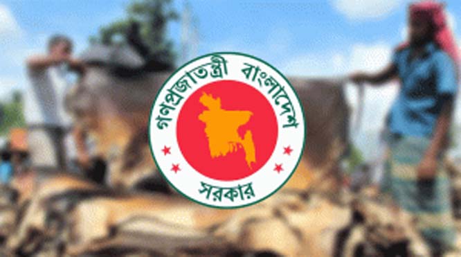 কোরবানির পশুর চামড়ার দাম নির্ধারণ করলো সরকার