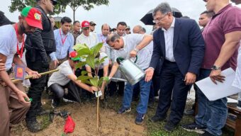 দেশব্যাপী ২৫ কোটি বৃক্ষরোপণ কর্মসূচির উদ্বোধন করলেন প্রধানমন্ত্রী