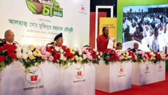 চা শিল্প বাংলাদেশের অর্থনীতির অবিচ্ছেদ্য অংশ: এমপি মুজিবুর