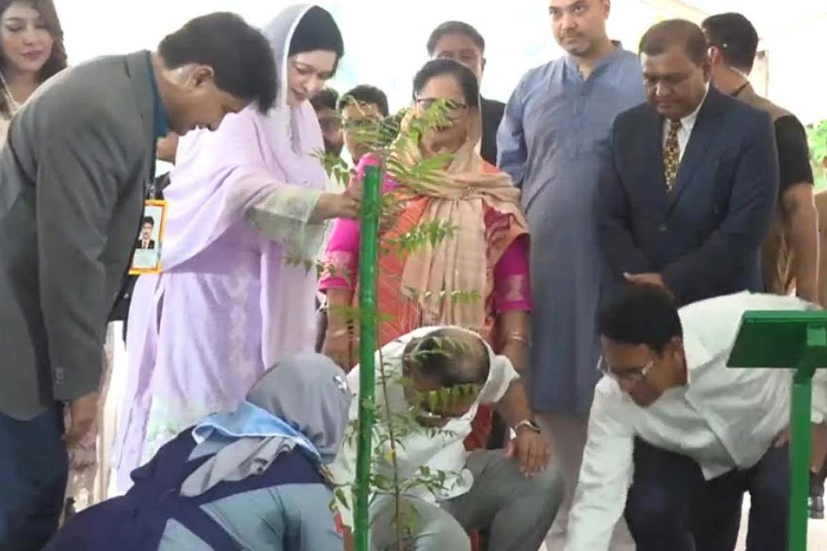 ২৯ হাজার শিক্ষাপ্রতিষ্ঠানে বৃক্ষরোপণ কর্মসূচির উদ্বোধন প্রধানমন্ত্রীর