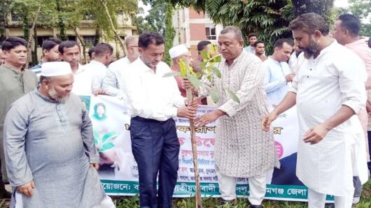 বৃক্ষরোপণই জলবায়ু পরিবর্তন মোকাবিলার কার্যকর উপায়: এমপি নুরুল