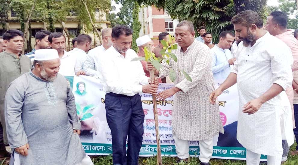 বৃক্ষরোপণই জলবায়ু পরিবর্তন মোকাবিলার কার্যকর উপায়: এমপি নুরুল