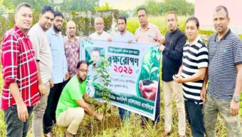 সাংবাদিক তুরাব স্মরণে ইউনাইটেড জার্নালিস্ট এসোসিয়েশনের বৃক্ষরোপণ