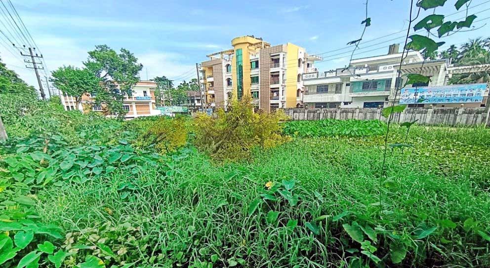 অবশেষে যে দিকে নজর পড়ল সিসিকের
