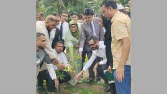 রোটারী ক্লাব অব সিলেট সিনার্জির বৃক্ষরোপণ কর্মসূচি অনুষ্ঠিত