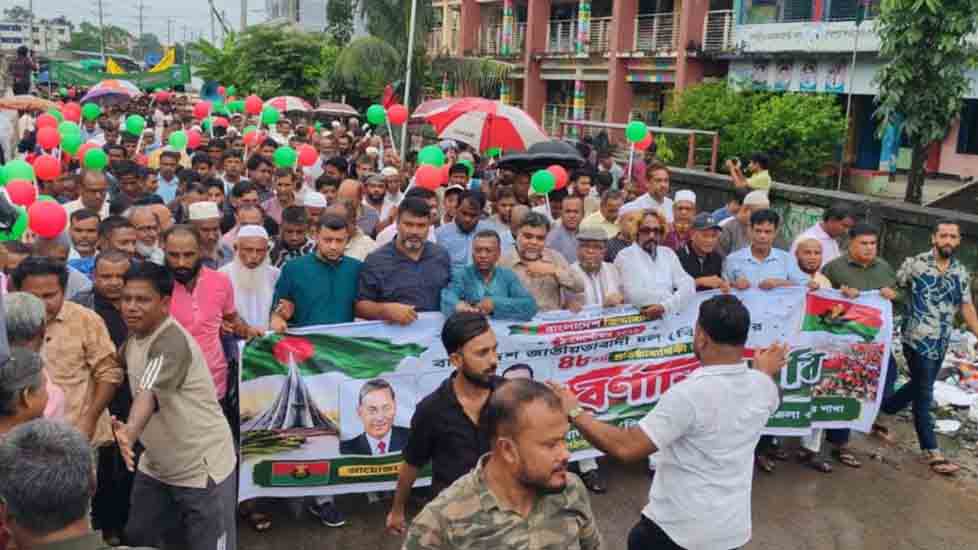 বড়লেখায় বিএনপির ৪৮তম প্রতিষ্ঠাবার্ষিকী পালন