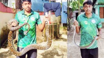সিলেট নগর থেকে অজগর ও দুধরাজ উদ্ধার