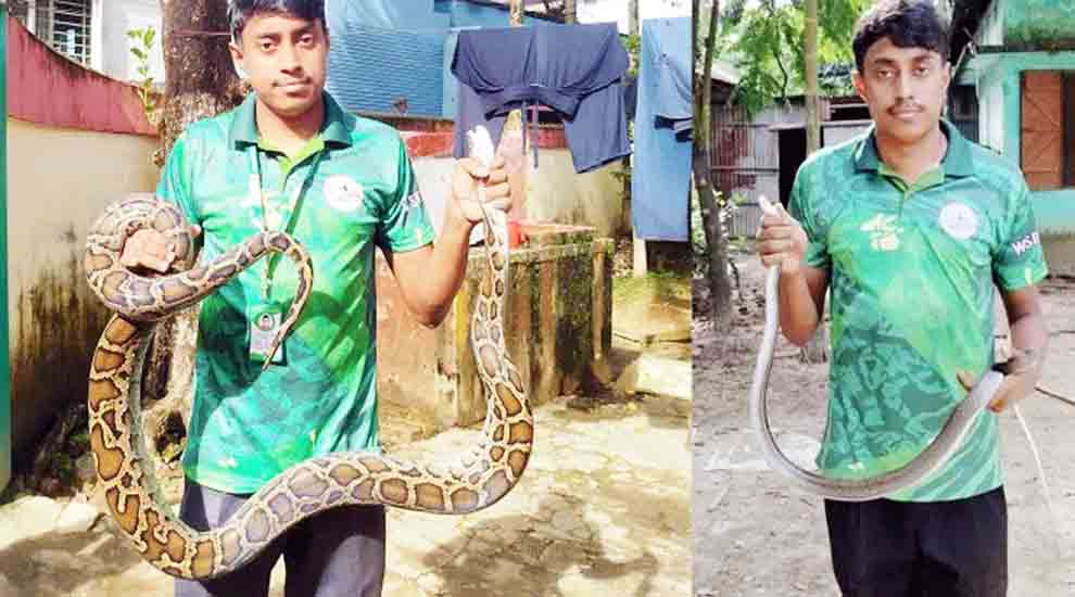 সিলেট নগর থেকে অজগর ও দুধরাজ উদ্ধার