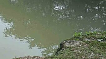জুড়ীতে পানিতে ডুবে প্রাণ গেল দুই ভাইয়ের
