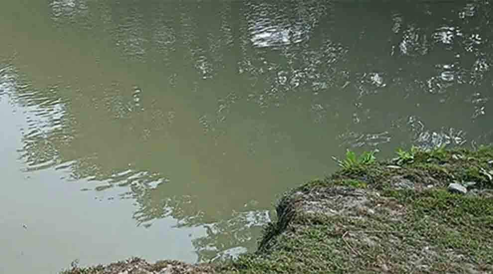 জুড়ীতে পানিতে ডুবে প্রাণ গেল দুই ভাইয়ের