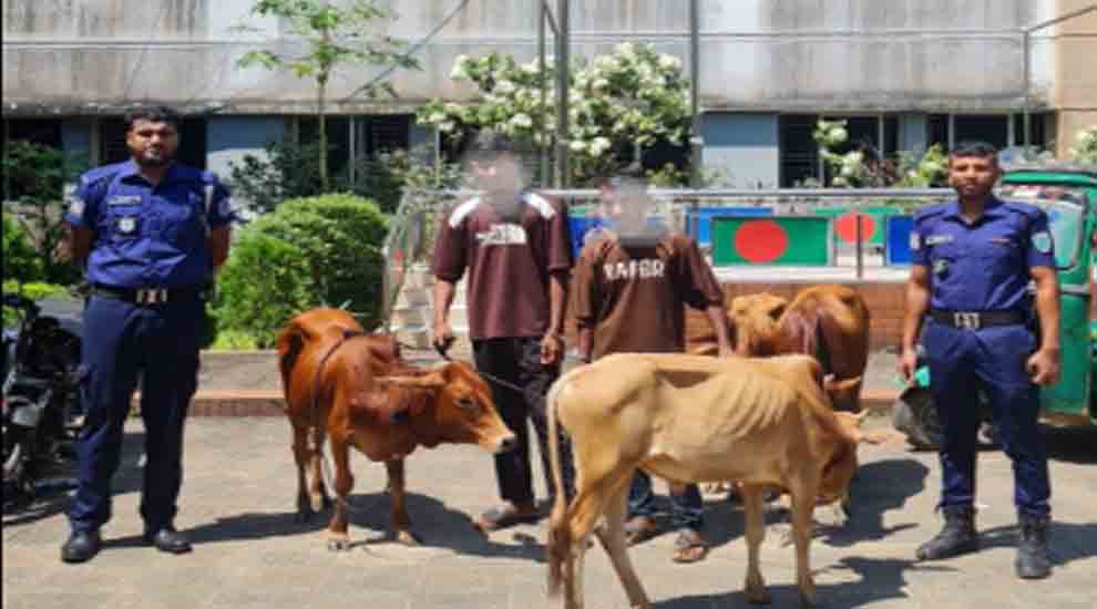মৌলভীবাজারে পুলিশ ধরল ২ যুবককে, তাদের যে অ প রা ধ