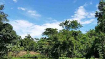 আসছে ভারতীয় শ*টগান-গু/লি, সিলেটে জ ব্দ কোটি টাকার পণ্য