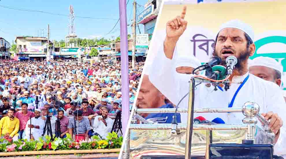 দেশকে দলীয়করণ করা হয়েছে: সিলেটে মামুনুল হক