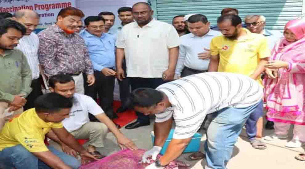 সিলেটে টার্গেটে সাড়ে ৪ হাজার কুকুর, টিকাদান শুরু