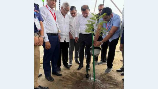 ঢাকা-আরিচা মহাসড়কের সবুজায়ন ও সৌন্দর্যবর্ধন কর্মসূচির উদ্বোধন করলেন প্রধানমন্ত্রী
