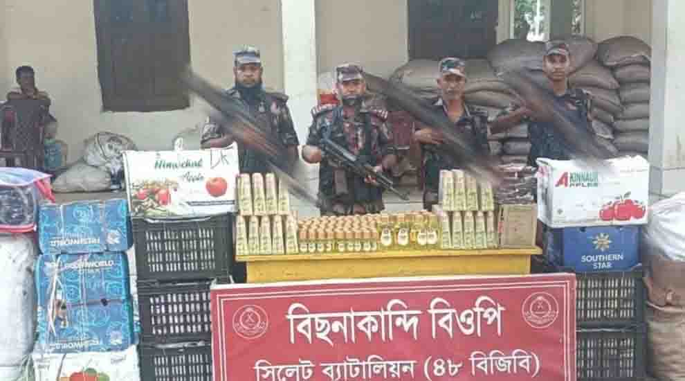 বিজিবির অভিযানে সিলেটে অবৈধ ভারতীয় মালামাল জব্দ