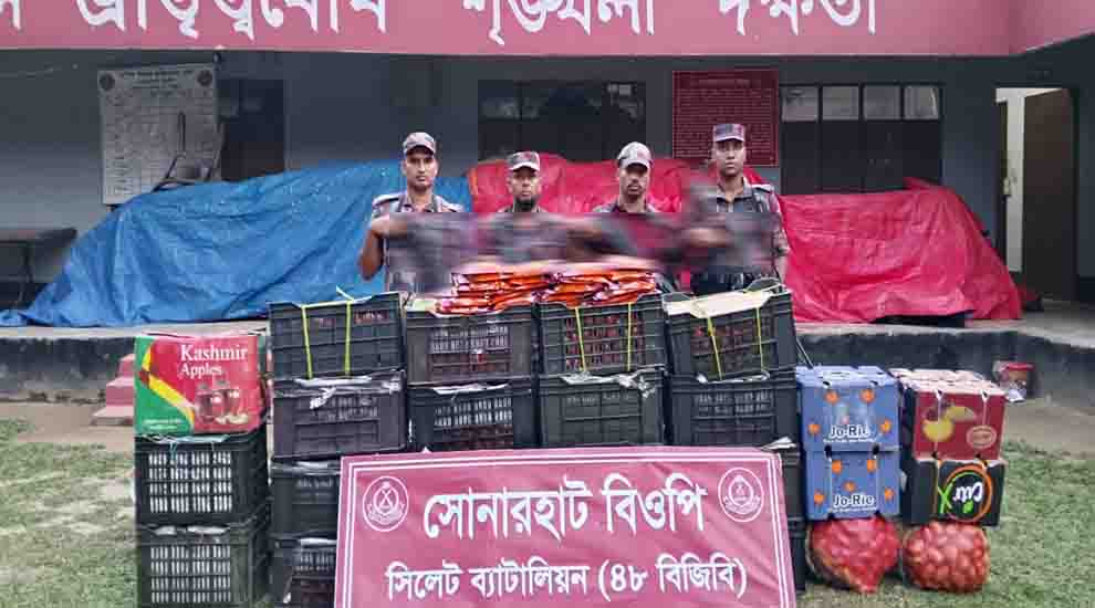 সিলেট সীমান্তে শিং মাছসহ জব্দ বিপুল পরিমাণ চো রা ই পণ্য