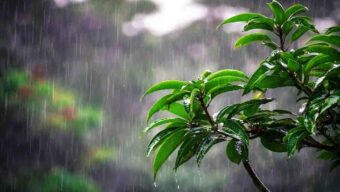 দেশের চার বিভাগে বৃষ্টির পূর্বাভাস